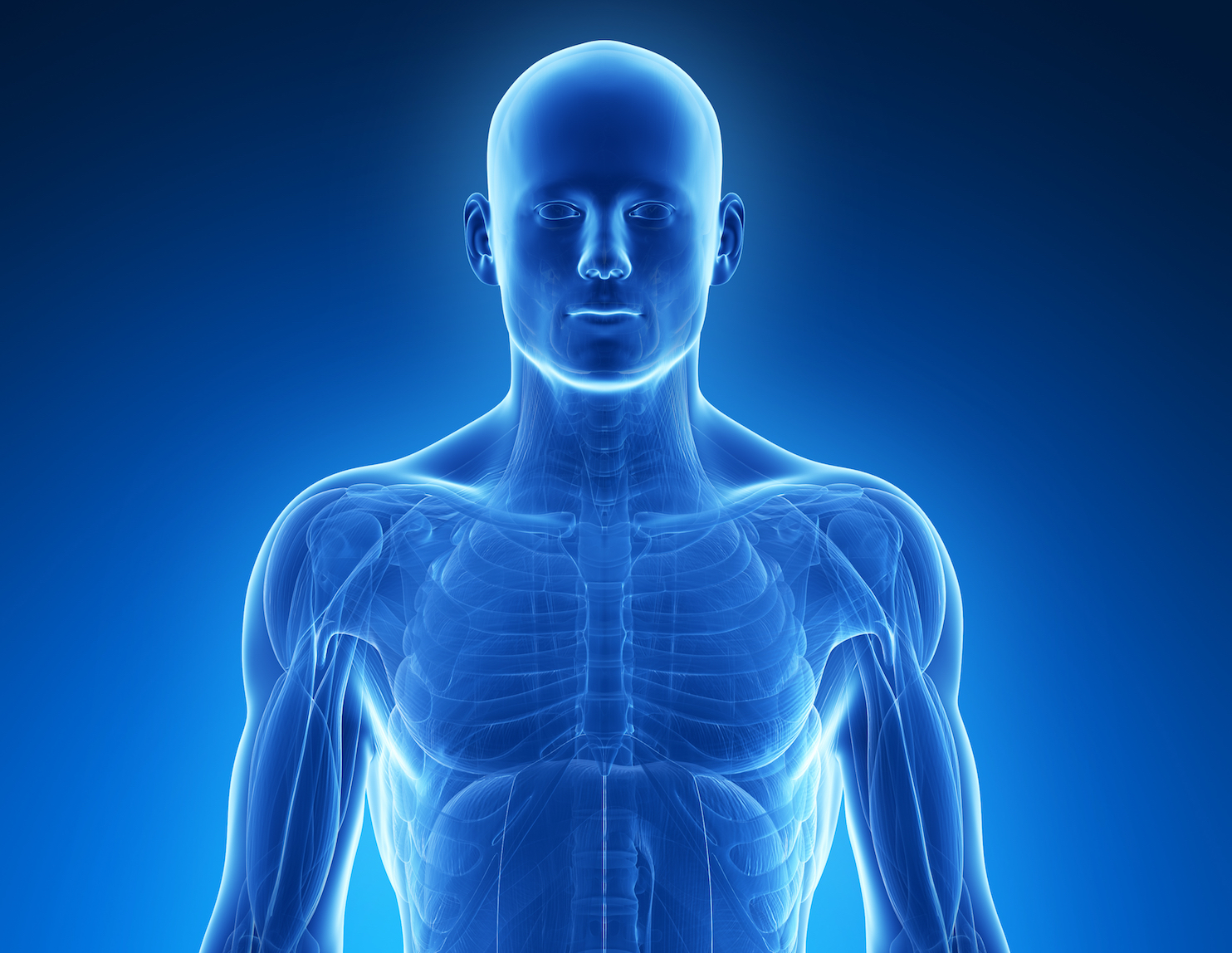 Imagem frontal da metade de um corpo humano. Estilizado em azul, sobre fundo preto.